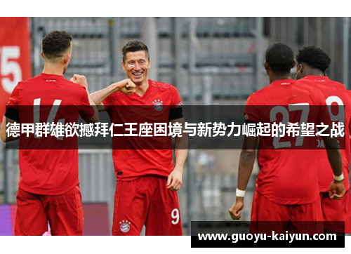 德甲群雄欲撼拜仁王座困境与新势力崛起的希望之战