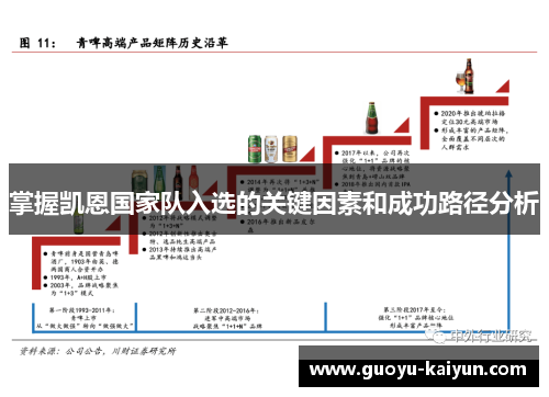 掌握凯恩国家队入选的关键因素和成功路径分析