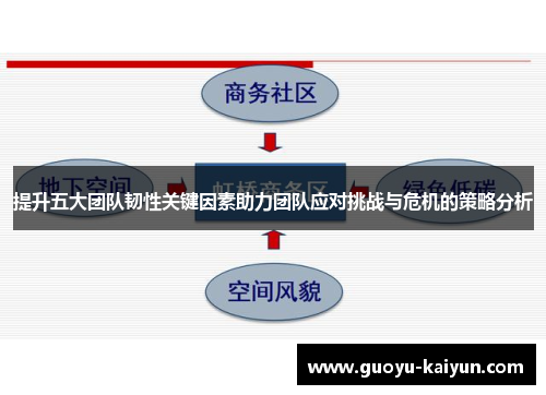 提升五大团队韧性关键因素助力团队应对挑战与危机的策略分析