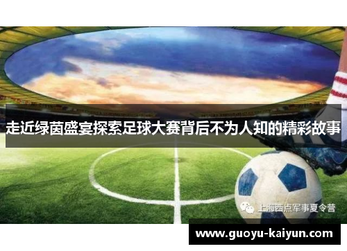 走近绿茵盛宴探索足球大赛背后不为人知的精彩故事