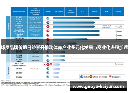 球员品牌价值日益攀升推动体育产业多元化发展与商业化进程加速