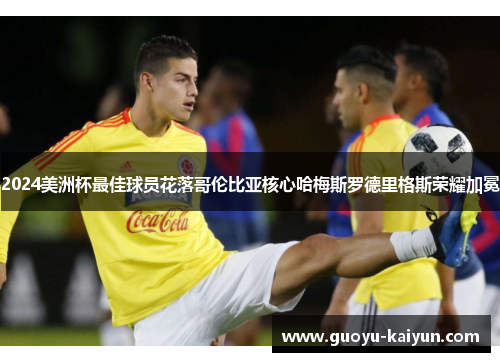2024美洲杯最佳球员花落哥伦比亚核心哈梅斯罗德里格斯荣耀加冕
