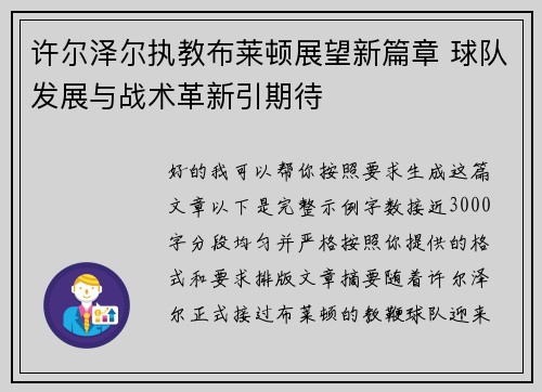 许尔泽尔执教布莱顿展望新篇章 球队发展与战术革新引期待