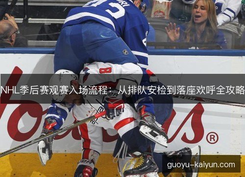 NHL季后赛观赛入场流程：从排队安检到落座欢呼全攻略